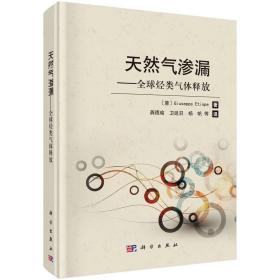 天然氣滲漏——全球烴類氣體釋放 天然氣滲漏——全球烴類氣體釋放