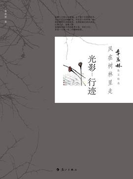風在樹林里走-光影行跡 風在樹林里走-光影行跡