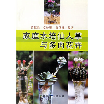 家庭水培仙人掌與多肉花卉 家庭水培仙人掌與多肉花卉