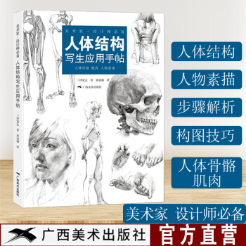 人體結(jié)構(gòu)寫生應(yīng)用手帖
