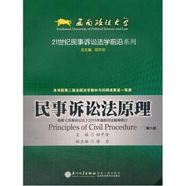 民事訴訟法原理-第六版