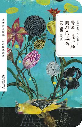 青春是一場陰郁的風暴 青春是一場陰郁的風暴