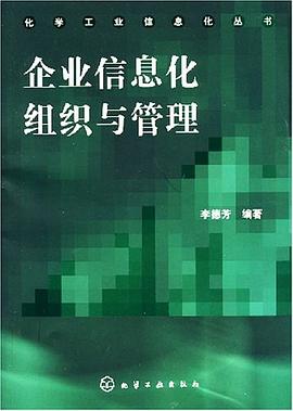 企業信息化組織與管理 企業信息化組織與管理
