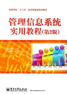 管理信息系統實用教程 管理信息系統實用教程