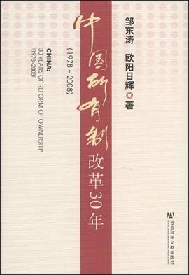 中國(guó)所有制改革30年