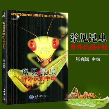 常見(jiàn)昆蟲(chóng)野外識(shí)別手冊(cè) 常見(jiàn)昆蟲(chóng)野外識(shí)別手冊(cè)