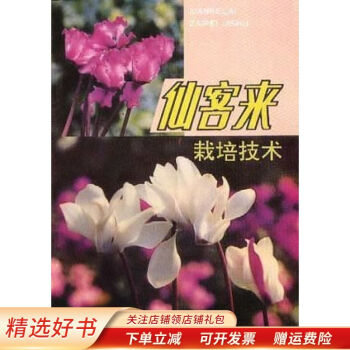 仙客來栽培技術王云山 仙客來栽培技術王云山