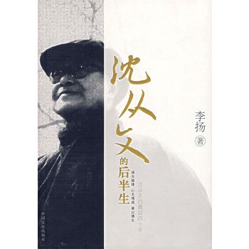 沈從文的最后40年 沈從文的最后40年