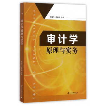 審計(jì)學(xué)原理與實(shí)務(wù) 審計(jì)學(xué)原理與實(shí)務(wù)