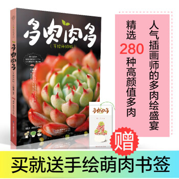 懶人多肉一養就活 懶人多肉一養就活
