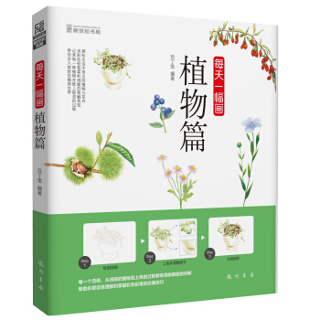每天一幅畫植物篇 每天一幅畫植物篇