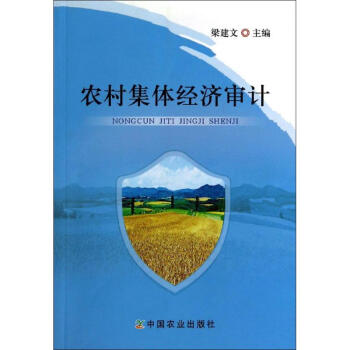 農村集體經濟審計 農村集體經濟審計
