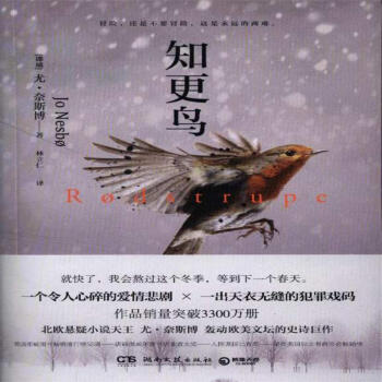 知更鳥 知更鳥
