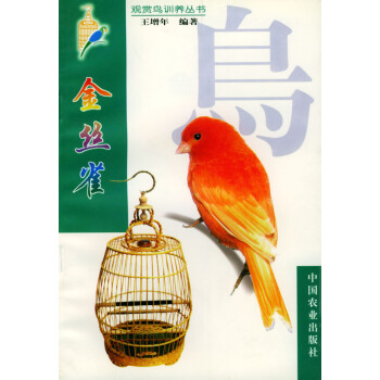 金絲雀 金絲雀