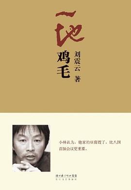 一地雞毛 一地雞毛