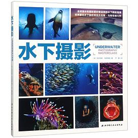 水下攝影 水下攝影
