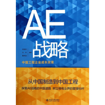 AE戰略 AE戰略