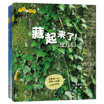 藏起來了 藏起來了