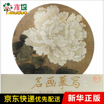 白芙蓉圖