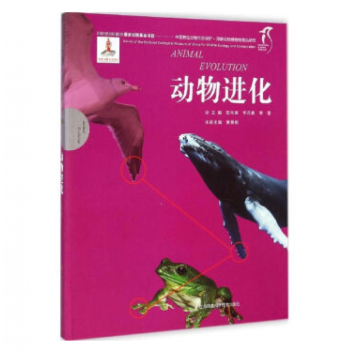 動物進化 動物進化