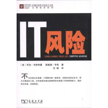 IT風險 IT風險