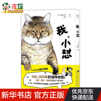 我,小懟 我,小懟