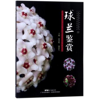 球蘭鑒賞