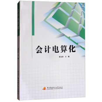 會計電算化 會計電算化