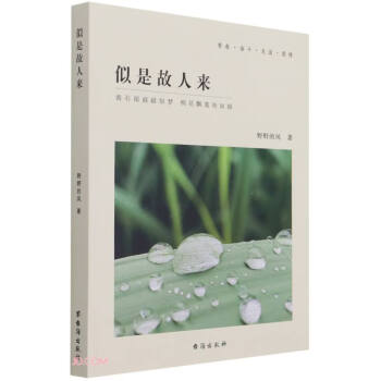 似是故人來 似是故人來