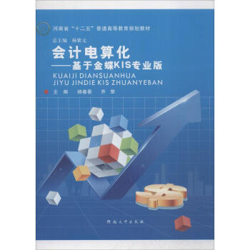 會計電算化 會計電算化