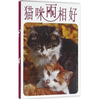 貓咪兩相好 貓咪兩相好
