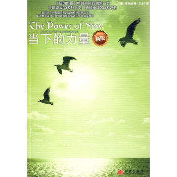 當(dāng)下的力量 當(dāng)下的力量