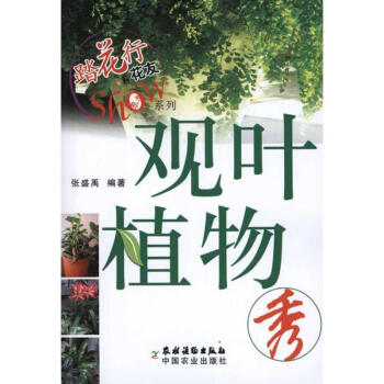 觀葉植物秀 觀葉植物秀