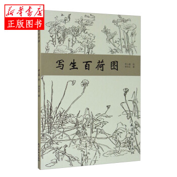 寫生百荷圖 寫生百荷圖