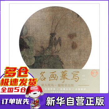 葡萄草蟲(chóng)圖 葡萄草蟲(chóng)圖