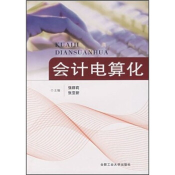 會(huì)計(jì)電算化 會(huì)計(jì)電算化