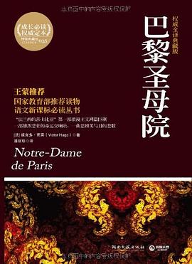 《巴黎圣母院》讀后感600字：圣母院下的愛恨情仇，人物命運的交織與挑戰，一場充滿懸念的閱讀盛宴！