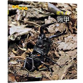 生命的故事 生命的故事