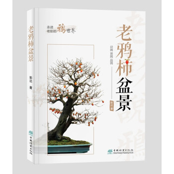 老鴉柿盆景