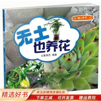 無土也養花 無土也養花