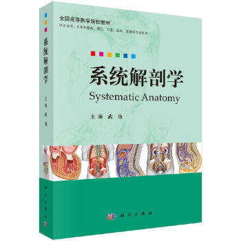 系統(tǒng)解剖學 系統(tǒng)解剖學