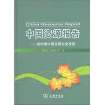 中國資源報告