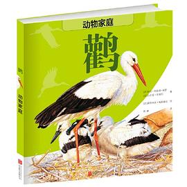 動物家族-鸛 動物家族-鸛