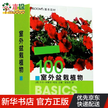 室外盆栽植物 室外盆栽植物