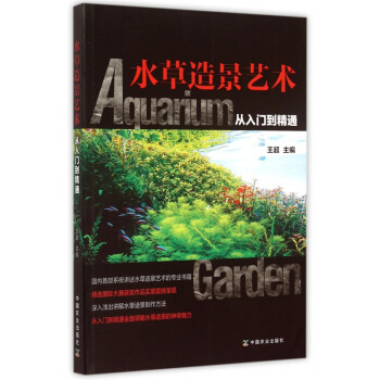 水草造景藝術 水草造景藝術
