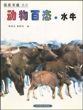 動(dòng)物百態(tài),水牛 動(dòng)物百態(tài),水牛