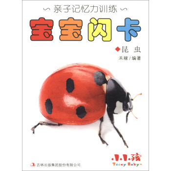 寶寶閃卡-昆蟲 寶寶閃卡-昆蟲