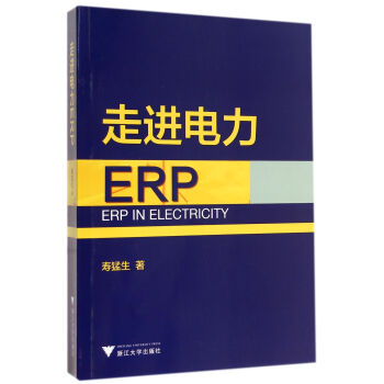 走進電力ERP 走進電力ERP