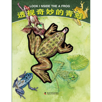 透視奇妙的青蛙 透視奇妙的青蛙