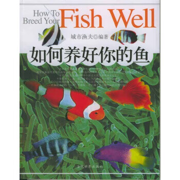 如何養(yǎng)好你的魚 如何養(yǎng)好你的魚